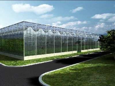 中國農業大學涿州基地現代化智能溫室大棚項目中標喜訊